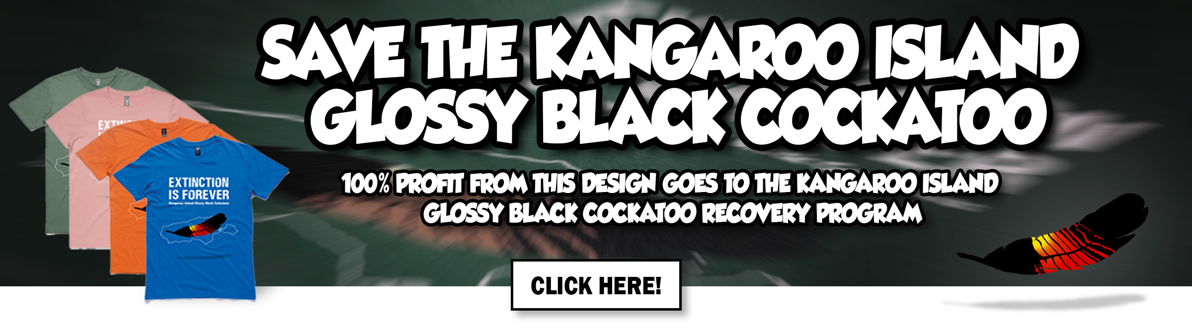 Save the KI Glossy Black Cockatoos!