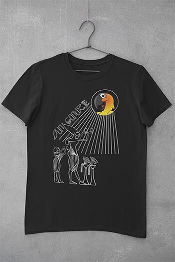 Praise the Sun Conure