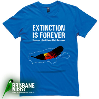 Glossy Black Cockatoos Thumbnail