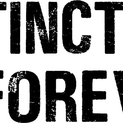 ExtinctionIsForever Thumbnail