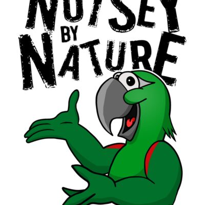 NoiseyByNature HahnsMacaw Thumbnail