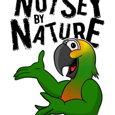 NoiseyByNature GoldenCappedConure Thumbnail