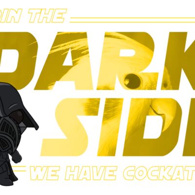 DarkSide DarthParrot Cockatiels Thumbnail