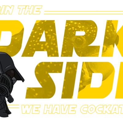 DarkSide DarthParrot Cockatoos Thumbnail